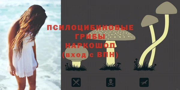 тгк Белокуриха