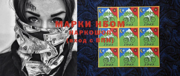 индика Арсеньев