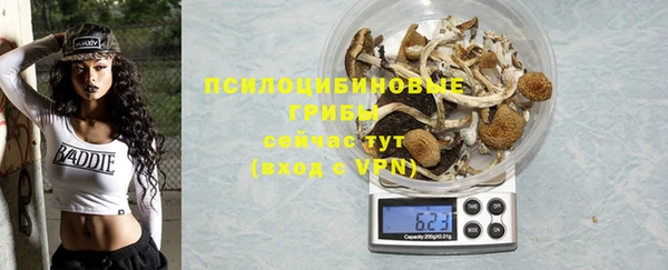 МДПВ Балахна