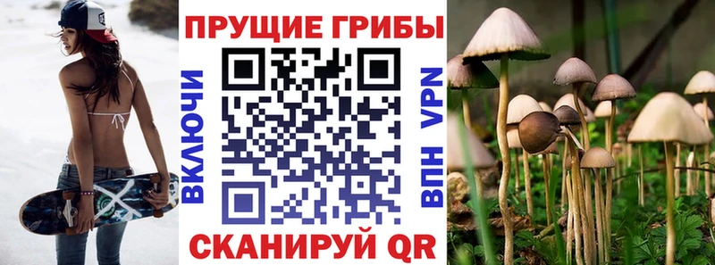 купить наркотики сайты  мега ссылка  Псилоцибиновые грибы MAGIC MUSHROOMS  Гулькевичи 