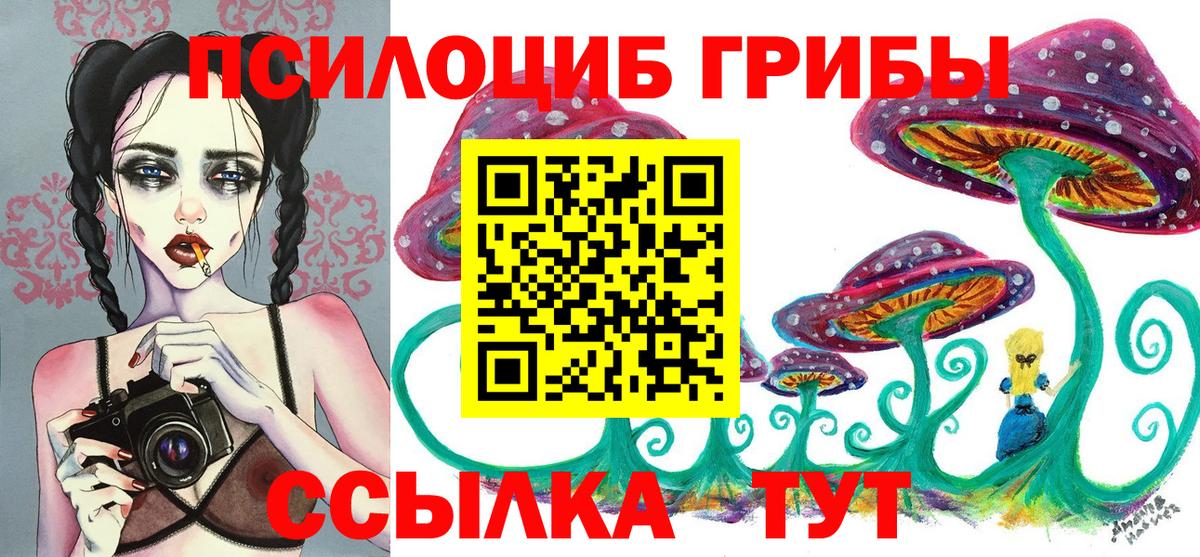 Псилоцибиновые грибы Cubensis Гулькевичи