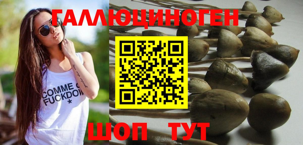 Галлюциногенные грибы мицелий  Гулькевичи  Галлюциногенные грибы мицелий 