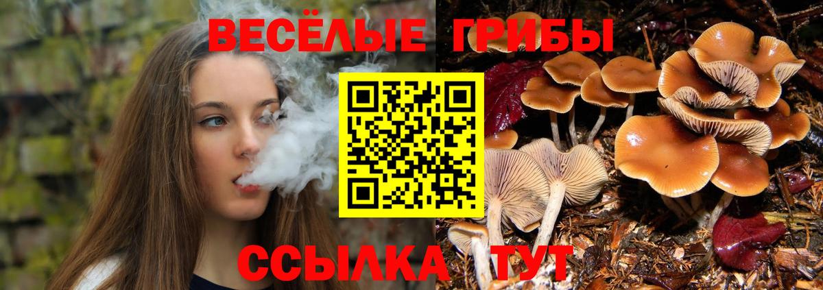 Псилоцибиновые грибы ЛСД Гулькевичи